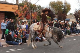 Dance Horses