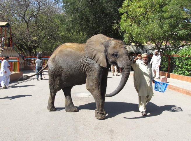 Karachi Zoo