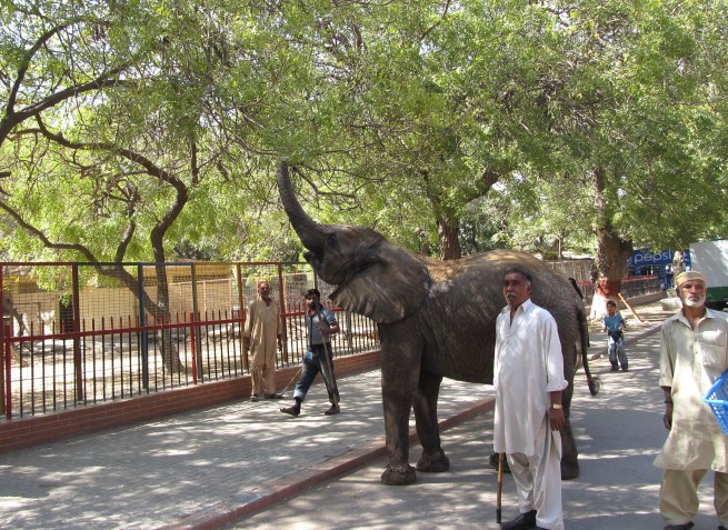 Karachi Zoo