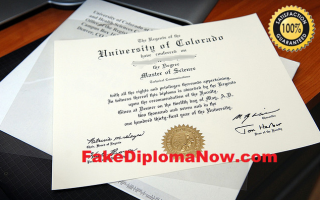 Fake Degrees