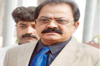 Rana Sana