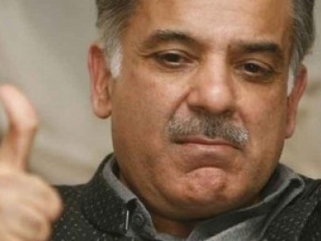 زرداری نے پنجاب کے ساتھ ظلم کیا،ہر جگہ اندھیرا کردیا،شہبازشریف