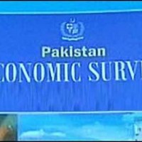 Economic Survey