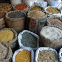 Food grains