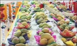 Mirpurkhas Mangoes