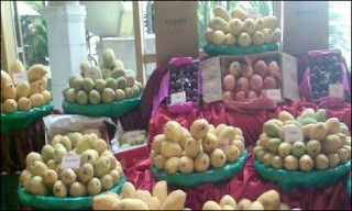 Mirpurkhas Mangoes