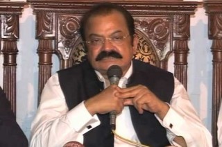 Rana Sana