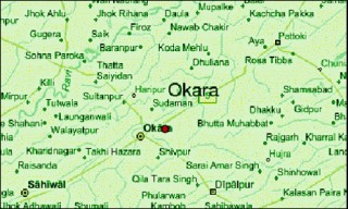 Okara