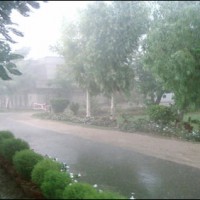 Rain