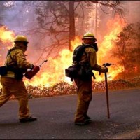 California Fire