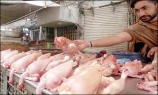 Poultry Meat