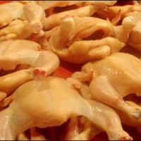 Poultry Meat