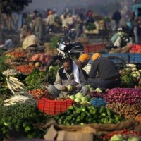 Punjab Vegetables