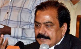 Rana Sana