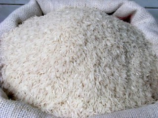 Rice