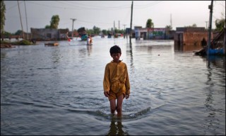 Sindh Punjab