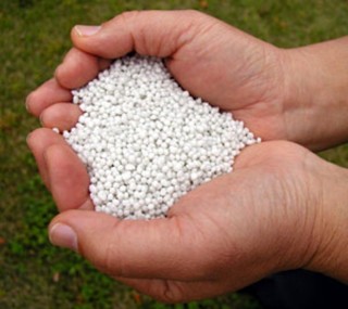 Urea