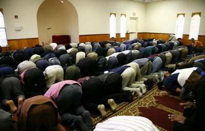 American Mosques