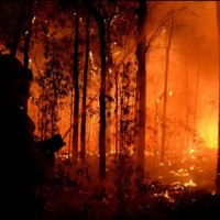 Australian Fire