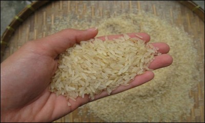 Rice