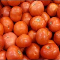 Tomatoes