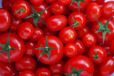 Tomatoes Price