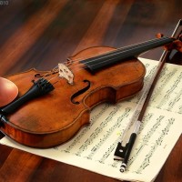 Violin