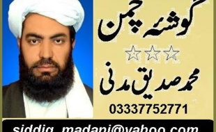 عصر حاضر میں نوجوانوں کی ذمہ داریاں