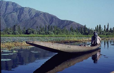  Kashmir