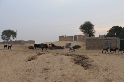 Mud Homes