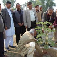 Tree Planting