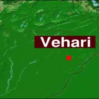 Vehari