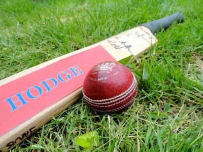 Cricket