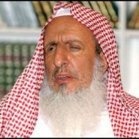 Sheikh Abdul Aziz