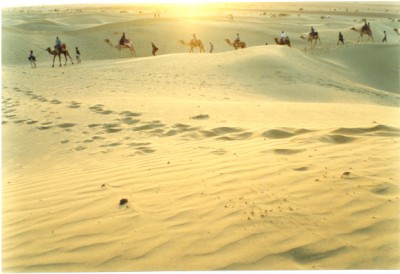 Thar Desert