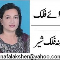 Amina Falak Sher