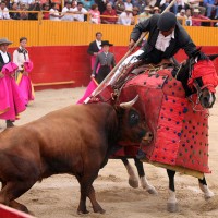 Bullfighting