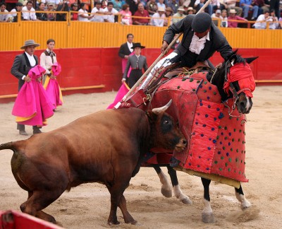 Bullfighting