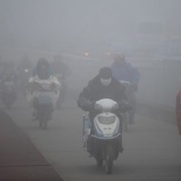 China Fog