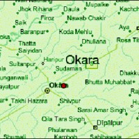 Okara