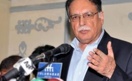 عمران خان اپنی حرکتوں کی وجہ سے آئندہ عام انتخابات بھی ہاریں گے، پرویز رشید