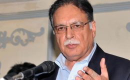 گرل فرینڈ اور پراپرٹی ڈیلروں کو بلیو پاسپورٹ جاری کیے گئے، پرویز رشید