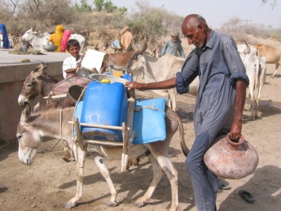 Water In Tharparkar