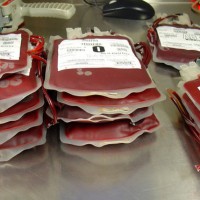 Blood Bank