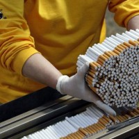 Cigarette Industry