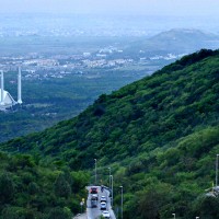 Margalla