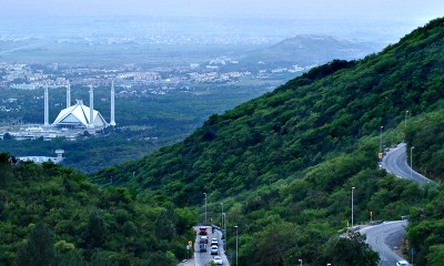 Margalla