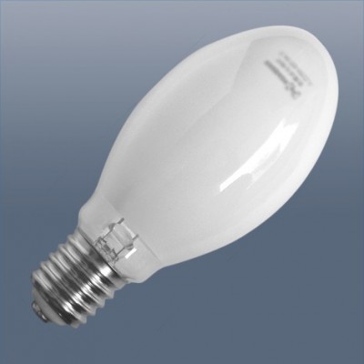 Mercury Bulb