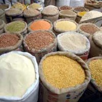 Pulses Price