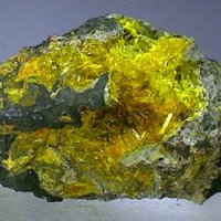 Uranium